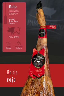Jamón de Bellota 50% Raza Ibérica Brida Roja del Valle de los Pedroches (Córdoba)