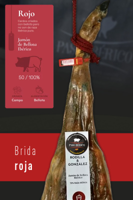 Jamón Ibérico de Bellota 75% Raza Ibérica Brida Roja de Guijuelo (Salamanca)