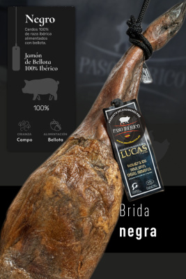 Paleta Ibérica de Bellota 100% Ibérica Brida Negra de Jabugo (Huelva)