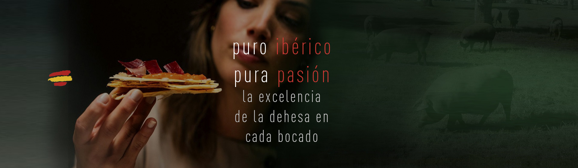 Puro ibérico, pura pasión. La excelencia de la dehesa en cada bocado